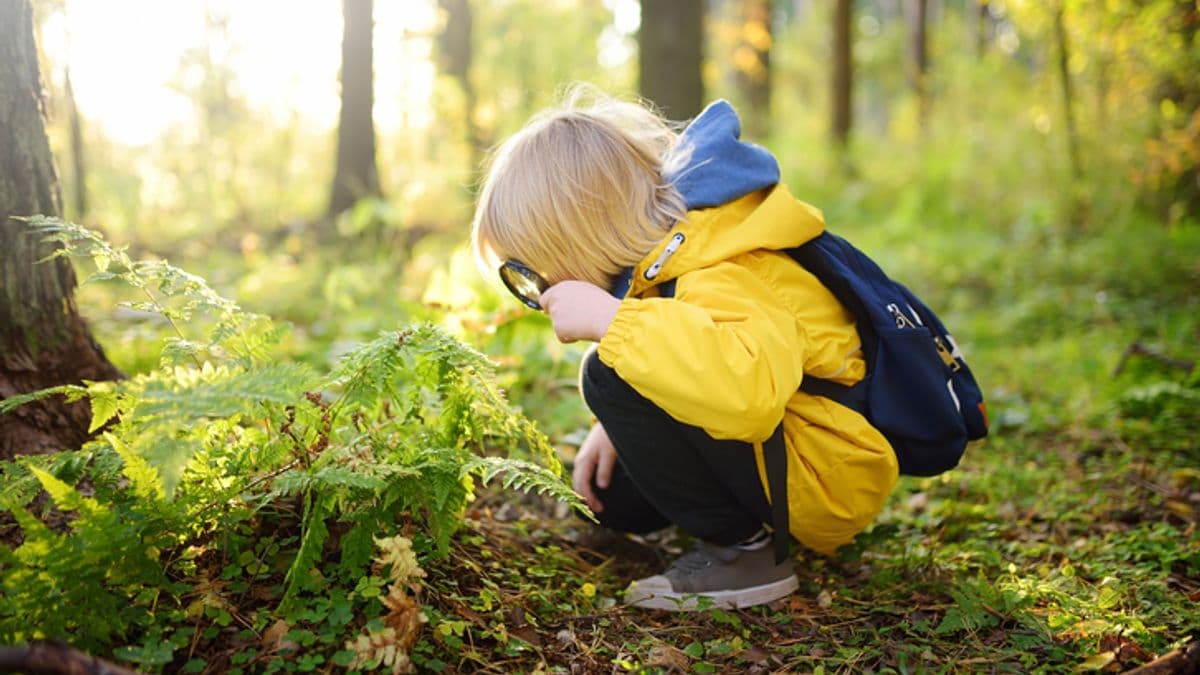 A young child using a magnifying glass to look at leaves on a forest floor up close.