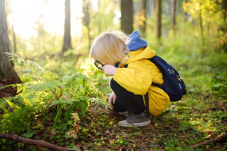 A young child using a magnifying glass to look at leaves on a forest floor up close.